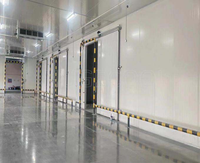 -25º C 100 Tons Meat Fish Cold Storage Room Price