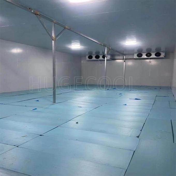 -25º C 100 Tons Meat Fish Cold Storage Room Price