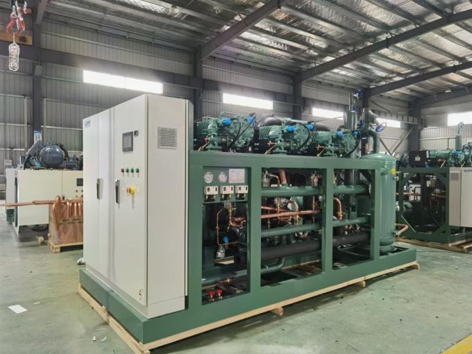 -25º C 100 Tons Meat Fish Cold Storage Room Price
