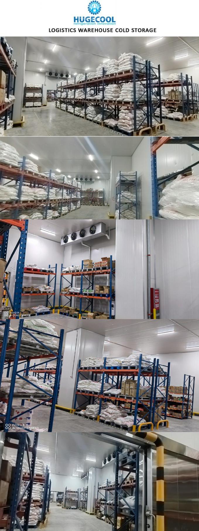 -25º C 100 Tons Meat Fish Cold Storage Room Price