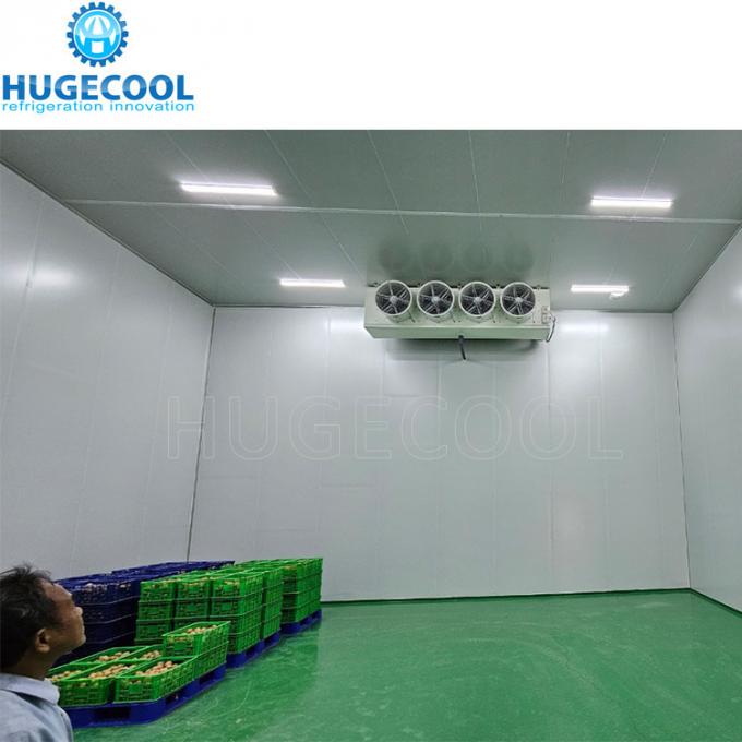 -40 º C Deep Freezer Quick Cooler in Philippines