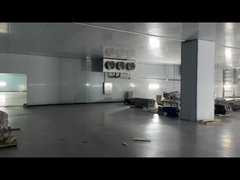 Bevroren vlees rundvlees kip zeevruchten koelkamer