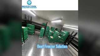 Beef Blast Freezer Inloopdiepvriesruimte