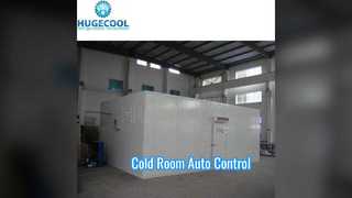 Vriezer Koude Kamer Autocontrole 40KG M3