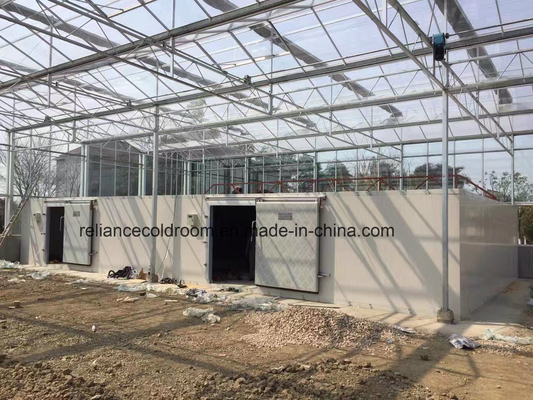 ISO Certified Agriculture Cold Storage Room PU1009810 for Optimal Temperature Control