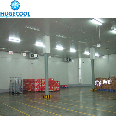 Cooling Method Air Cooling Freezer Room for Storing Fruits Vegetables Meat and Fish