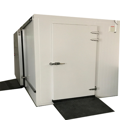 Walk-in Chiller Cold Room for Supermarket Shop and Restaurant Tailored to Your Needs