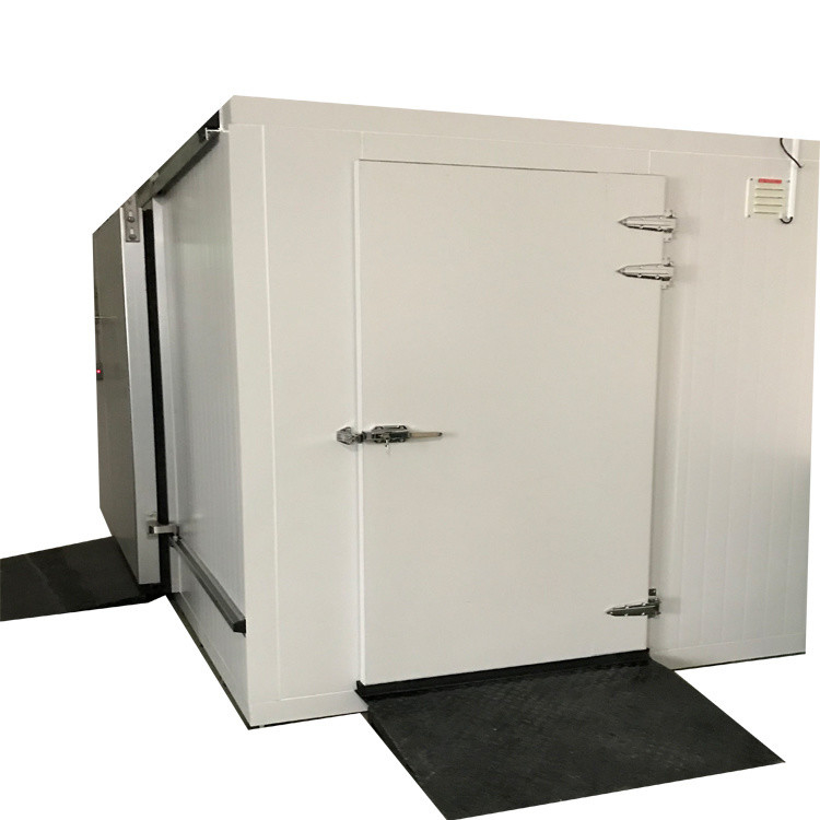 Nature-Friendly Cold Storage Room for Vegetable and Fruit Production PU100426