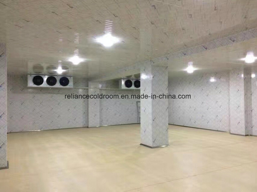 Temperature -35c to 20c PU100981010 Flower Cold Storage Room for Fresh Flowers