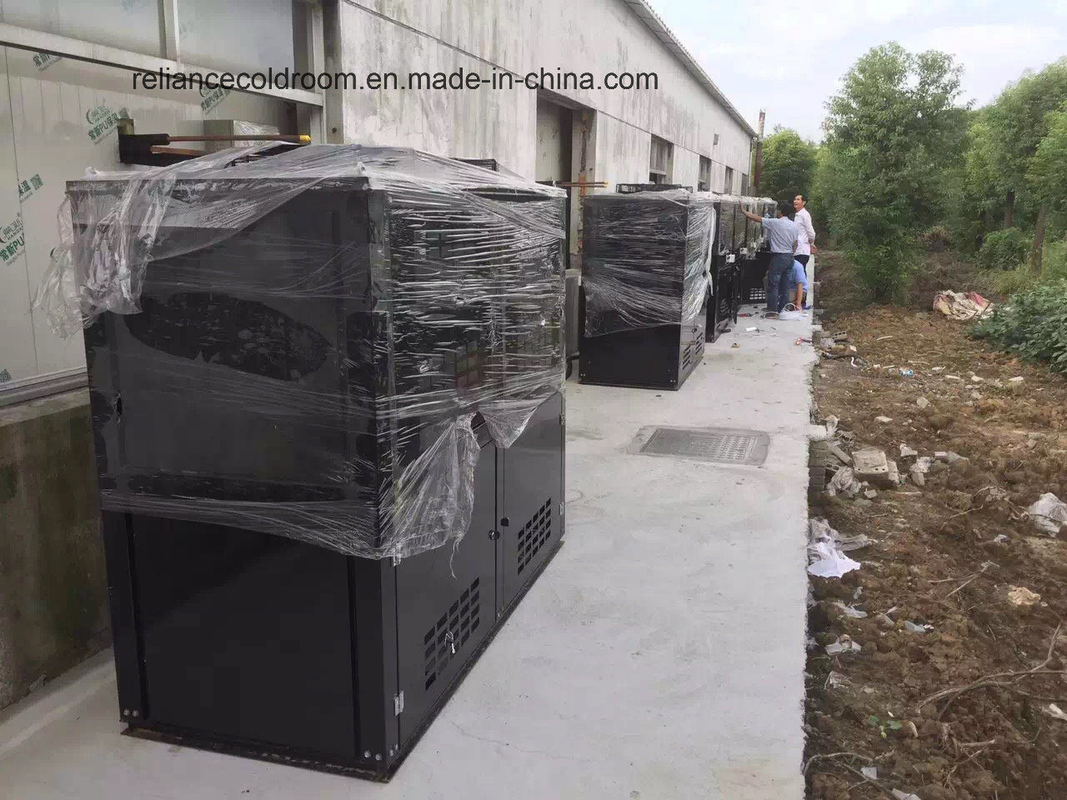Temperature -35c to 20c PU100981010 Flower Cold Storage Room for Fresh Flowers