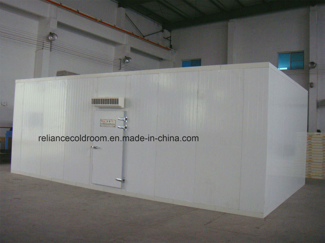 Freon Refrigerant Walkin Cold Storage Room for Meat Assembled Structure Walkin Building