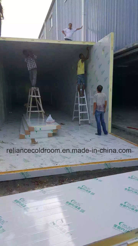 Freon Refrigerant Walkin Cold Storage Room for Meat Assembled Structure Walkin Building