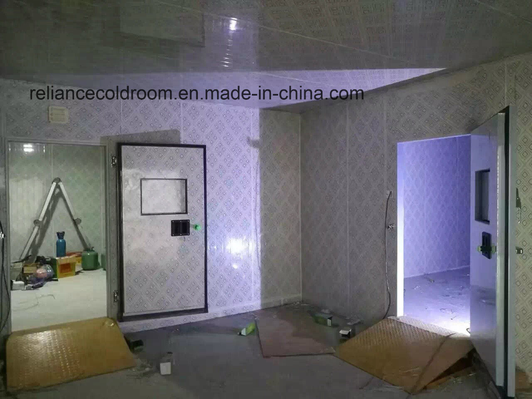 Deep Freezer Cold Room for Frozen Food 150mm/180mm/200mm Thickness Convenient to Us