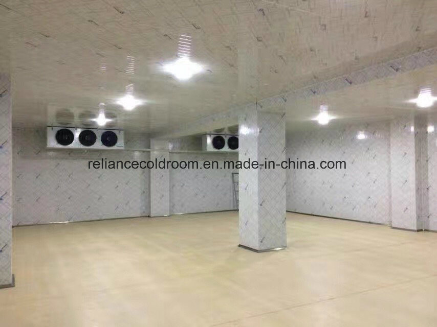Deep Freezer Cold Room for Frozen Food 150mm/180mm/200mm Thickness Convenient to Us