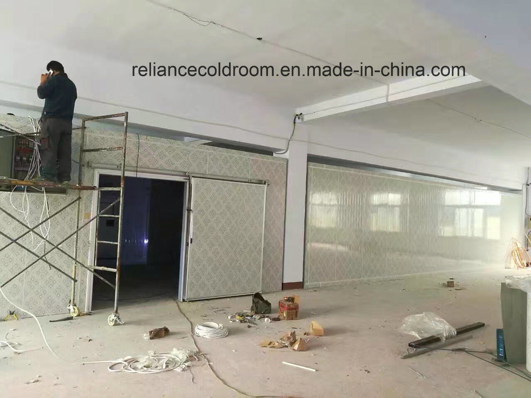 Deep Freezer Cold Room for Frozen Food 150mm/180mm/200mm Thickness Convenient to Us