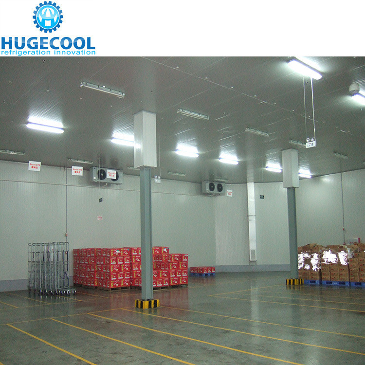 Cooling Method Air Cooling Freezer Room for Storing Fruits Vegetables Meat and Fish