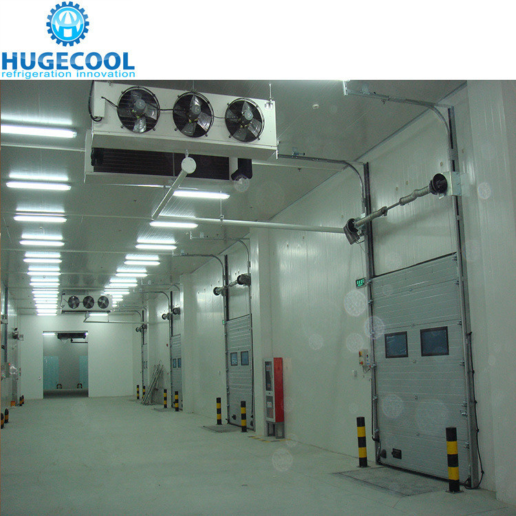 Cooling Method Air Cooling Freezer Room for Storing Fruits Vegetables Meat and Fish