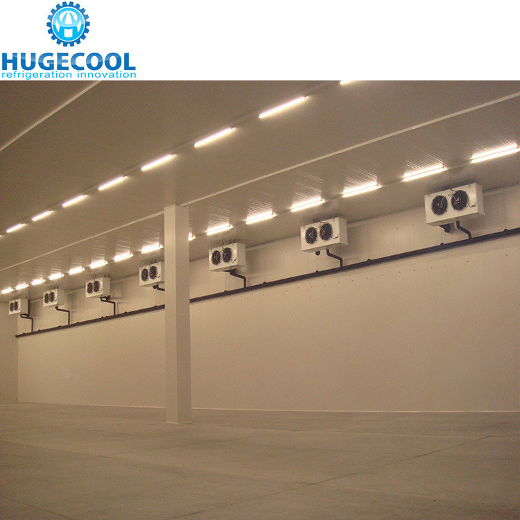 Cooling Method Air Cooling Freezer Room for Storing Fruits Vegetables Meat and Fish
