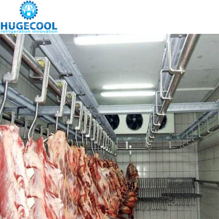 Cooling Method Air Cooling Freezer Room for Storing Fruits Vegetables Meat and Fish
