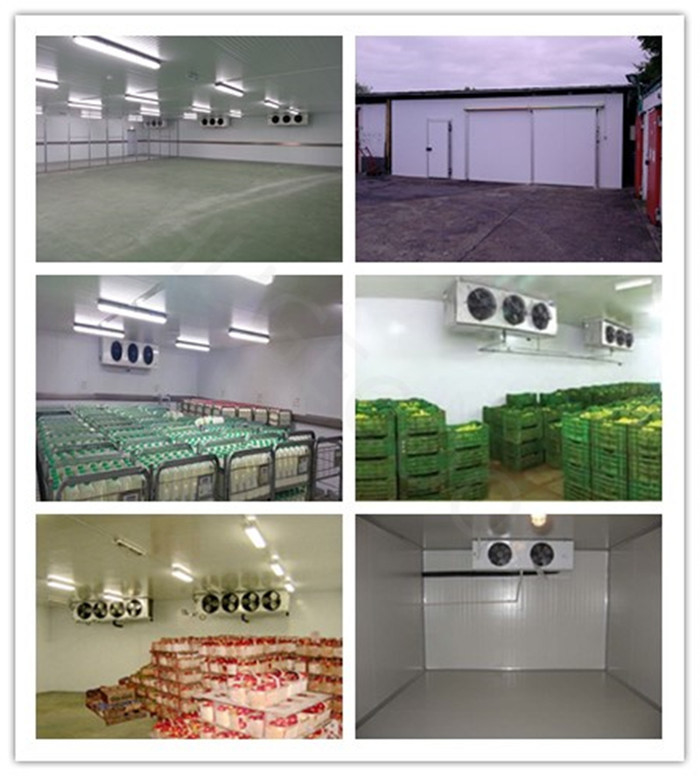 Cooling Method Air Cooling Freezer Room for Storing Fruits Vegetables Meat and Fish
