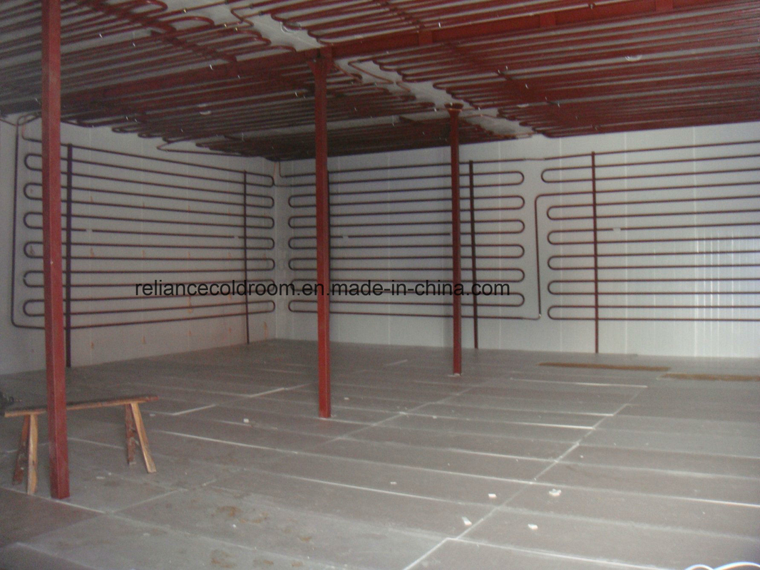 Nature Distribution Freezer Room for Food Storage