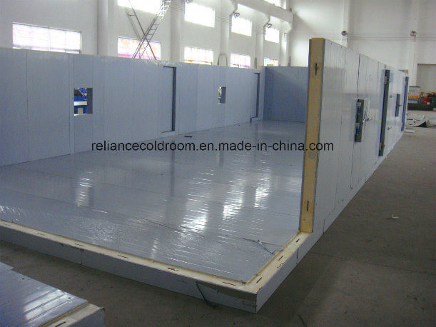Nature Distribution Freezer Room for Food Storage