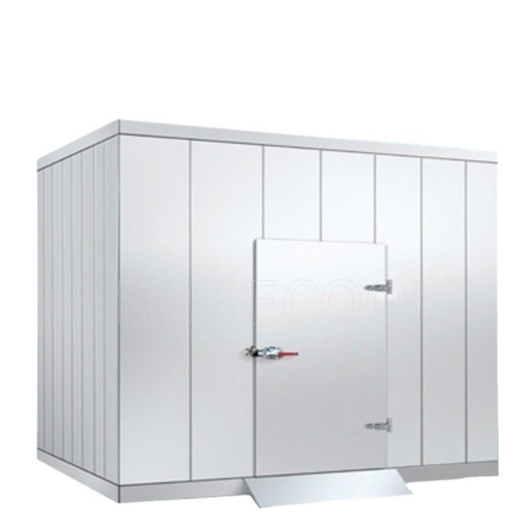 Walk-in Freezer Room for Already Frozen Soursop Products Storage Solution Provider