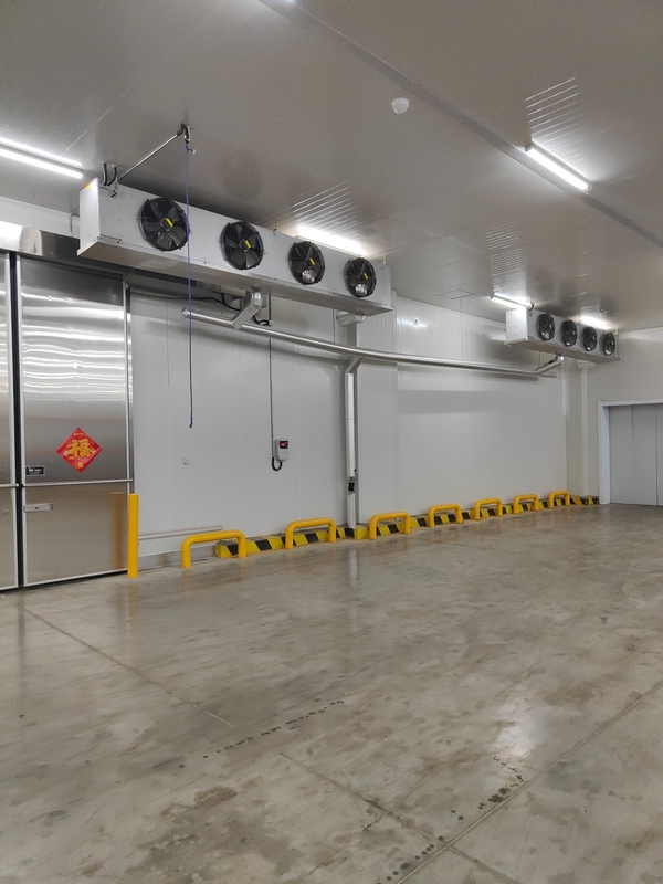Walk-in Chiller Cold Room for Supermarket Shop and Restaurant Tailored to Your Needs