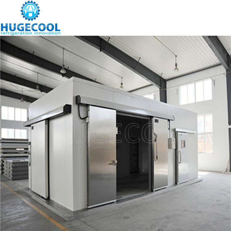Design Cold Storage Room Blast Freezer Customized Request for Meat Fish and Chicken