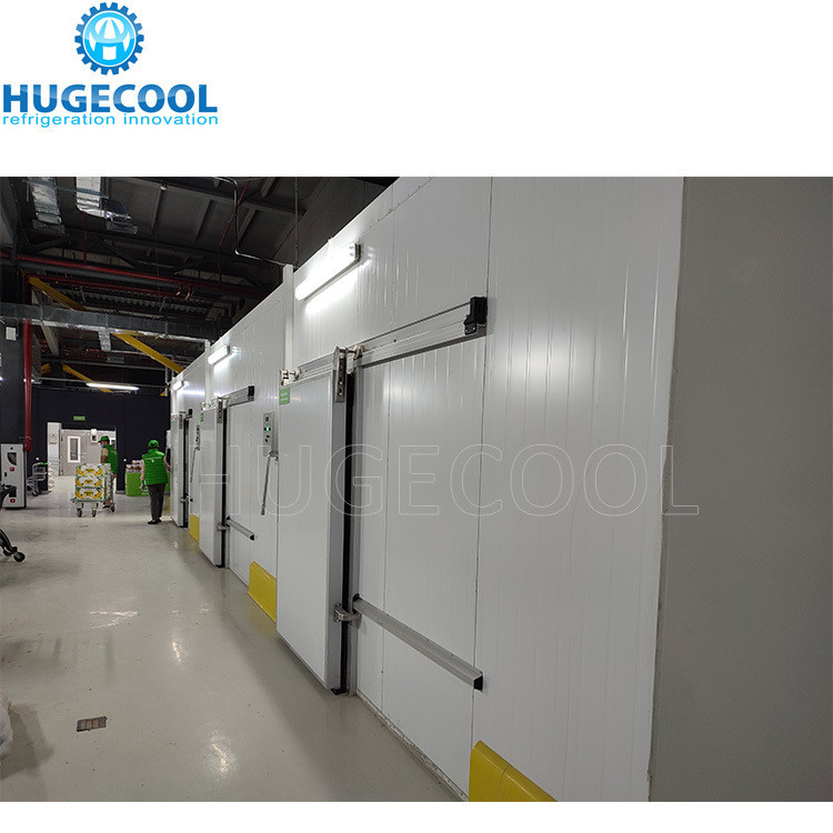 Design Cold Storage Room Blast Freezer Customized Request for Meat Fish and Chicken