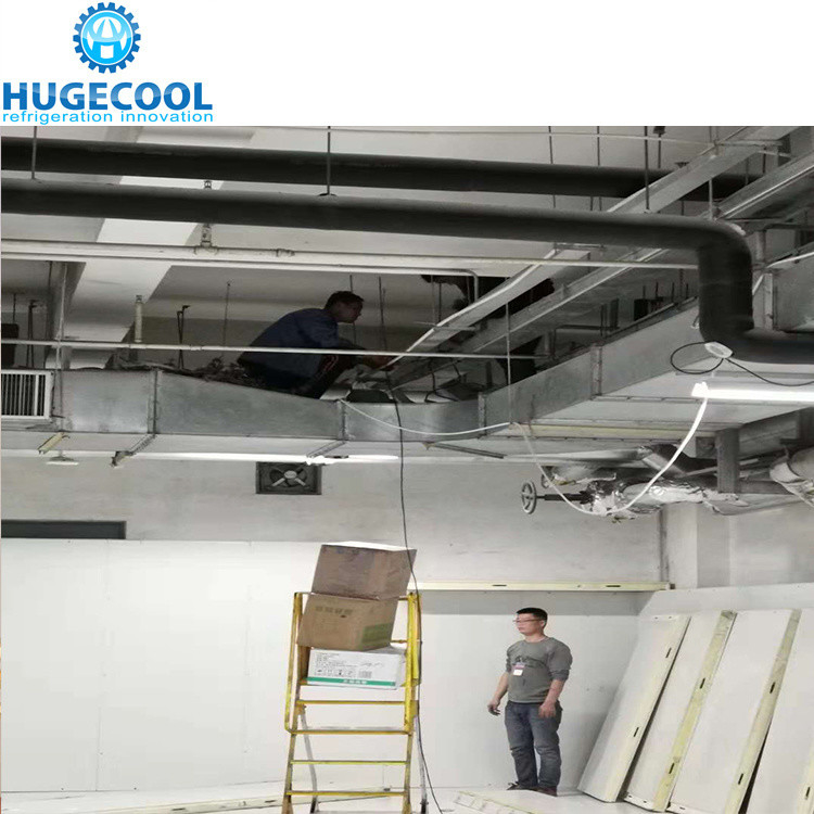 Design Cold Storage Room Blast Freezer Customized Request for Meat Fish and Chicken