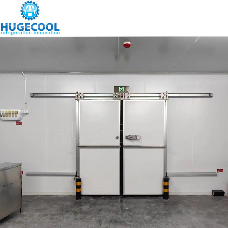 Design Cold Storage Room Blast Freezer Customized Request for Meat Fish and Chicken