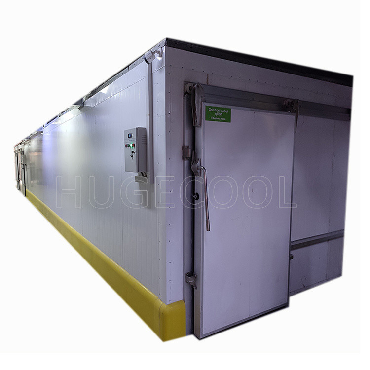 Customized Blood Temperature PU/PIR Sandwich Panel for Chiller/Freezer/Cold Room