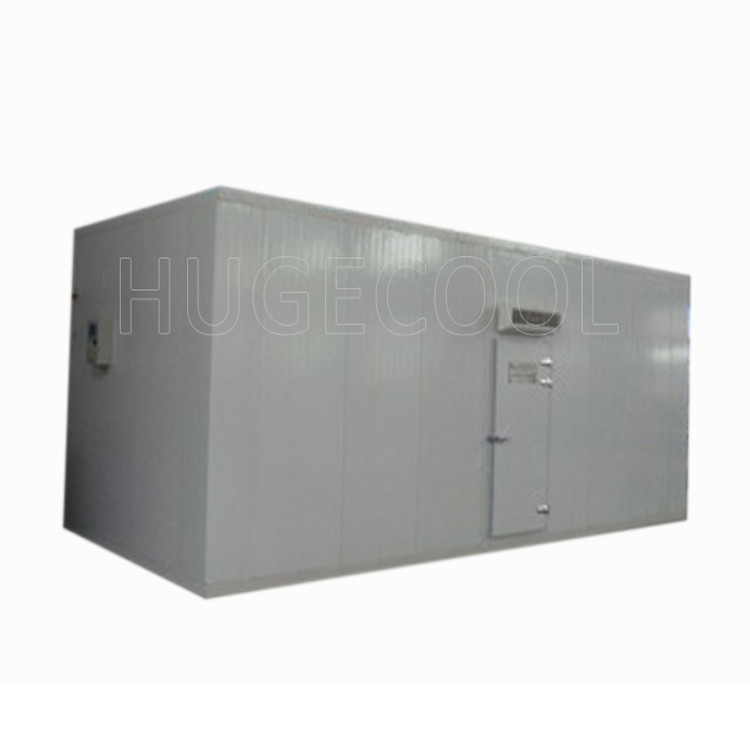 Customized Blood Temperature PU/PIR Sandwich Panel for Chiller/Freezer/Cold Room