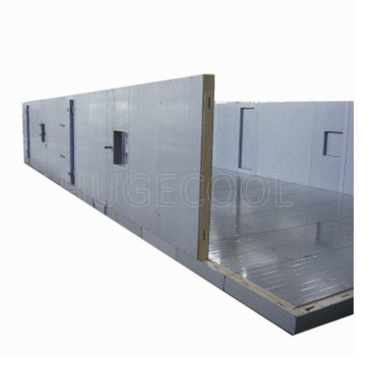 Customized Blood Temperature PU/PIR Sandwich Panel for Chiller/Freezer/Cold Room