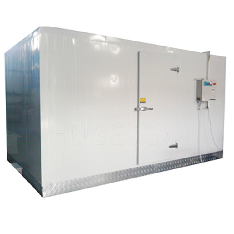 Meat Ice Cream Freezer Cold Freezing Walk in Cold Room -18c Temperature Freezer Walk