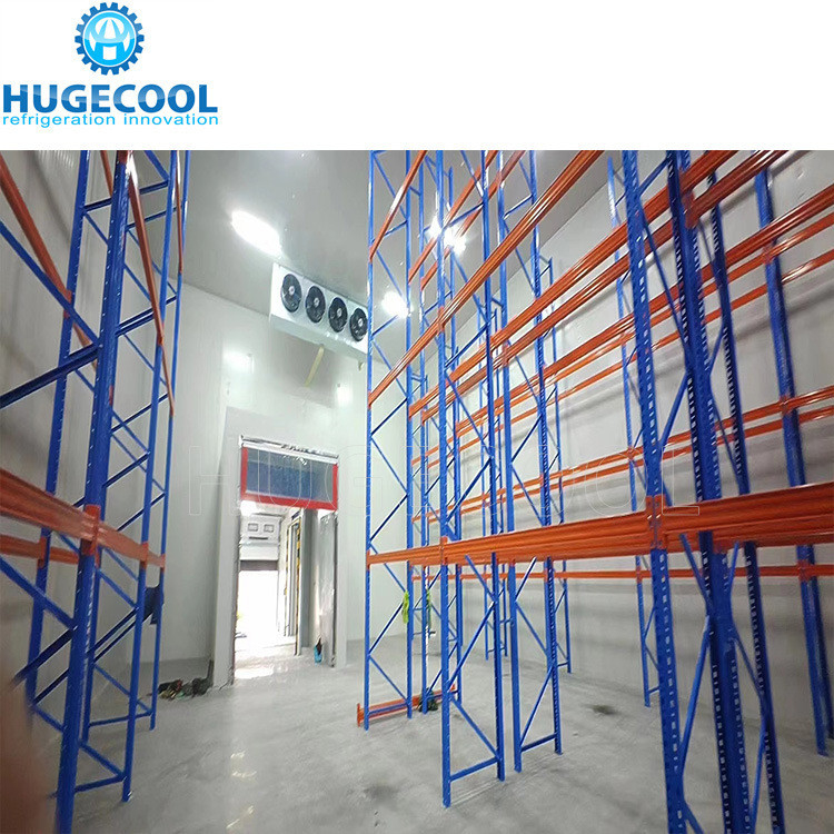 Meat Ice Cream Freezer Cold Freezing Walk in Cold Room -18c Temperature Freezer Walk