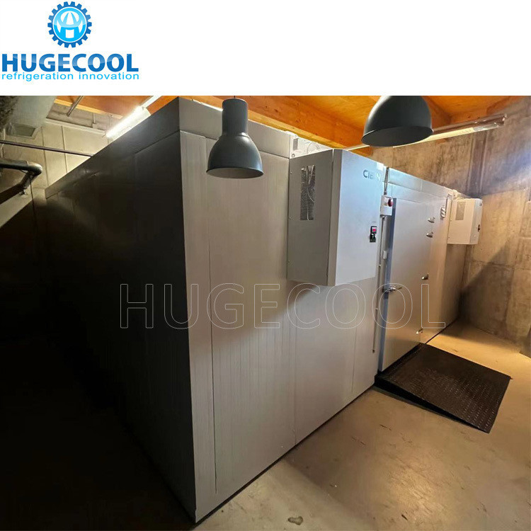 Water Cooling Cold Storage Sliding Door with Special Platform and Freon Refrigerant