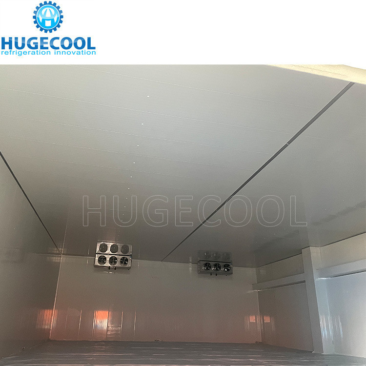 Logistics Room Cooler Room with 200 Kw Cooling Capacity and R449 Refrigerant Model